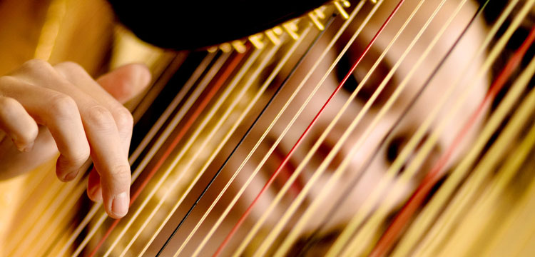 Wedding & harpist
