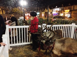 Reindeer hire